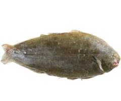 egyedüli