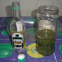 Tinktúra lóhere vodka