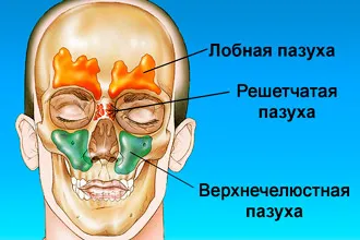 Népi jogorvoslati a megfázás - hogyan lehet gyorsan gyógyítani rhinitis felnőtteknél (gyors) Népi jogorvoslati a megfázás - hogyan lehet gyorsan gyógyítani rhinitis felnőtteknél