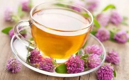 Clover tinktúra - a mi segít és hogyan kell főzni (tinktúra) Clover tinktúra - a mi segít és hogyan kell főzni