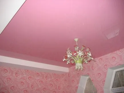 Feszített mennyezetek Photo nappali (131 fénykép)