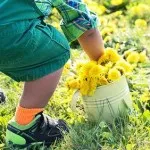 Ruházat fészer, hogyan lehet a foltokat, vendégház