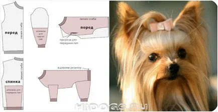 Yorkshire terrier ruhákat saját kezűleg, a minta (fotó) (a) Yorkshire terrier ruhákat saját kezűleg, a minta (fotó)