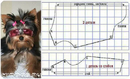 Yorkshire terrier ruhákat saját kezűleg, a minta (fotó) (kar) Yorkshire terrier ruhákat saját kezűleg, a minta (fotó)