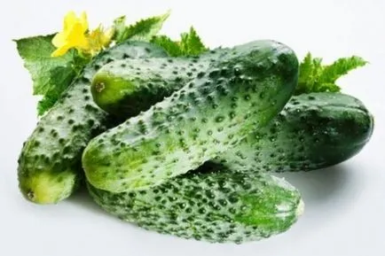 Uborka gastritis, hogy lehetséges-e, vagy lehetetlen a friss zöldségek és miért (uborka) Uborka gastritis, hogy lehetséges-e, vagy lehetetlen a friss zöldségek és miért