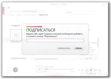 Áttekintés Zune szoftver