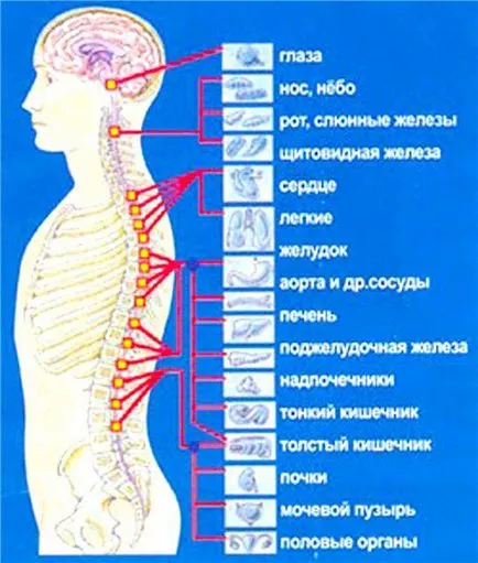 A teljes test masszázs, hogy ez, ami hasznos (ami benne van a teljes test masszázs) A teljes test masszázs, hogy ez, ami hasznos