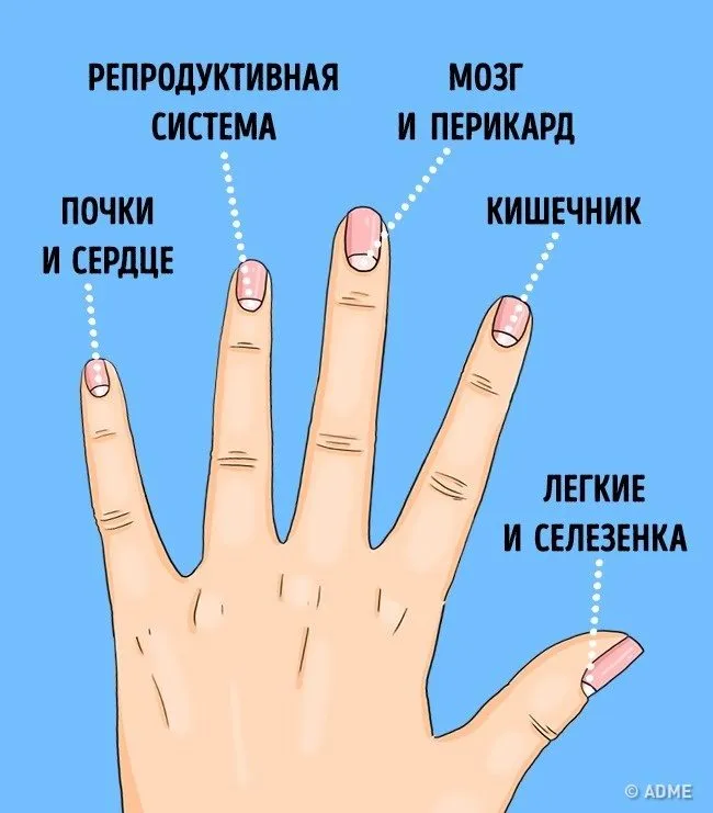 Mit figyelmeztetnek bennünket a körmökön kút (kutak) Mi értesítettek minket kutak körmök