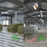 Esztena a juhok a kezüket útmutató, képek és videó