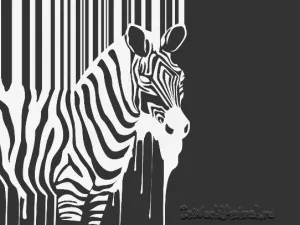 A válasz arra a kérdésre - miért zebra csíkos, állat a világon (csíkos) A válasz arra a kérdésre - miért zebra csíkos, az állatvilágban