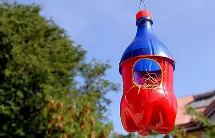 Műanyagból készült palackok saját kezűleg a kertben - műhelyek lépések