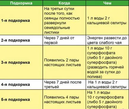 Trágyázás paradicsom, hogy nem elegendő a paradicsom, komplex műtrágya