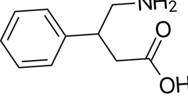 papoknak Helmholtz Intézet