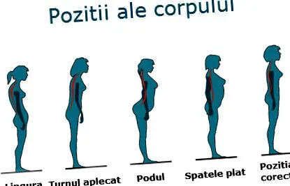 testtartás