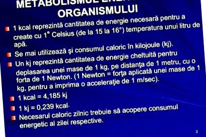 dokumentum