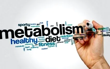 metabolomikus klinika