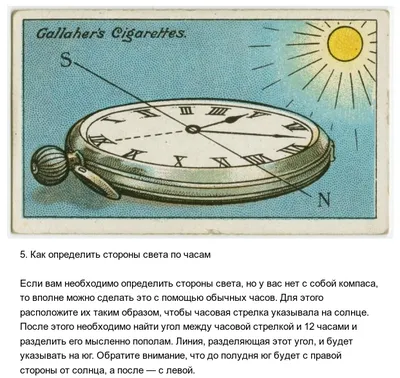 Egyszerű módja, hogy meghatározzuk a égtáj