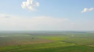 Plains jellemzői és típusai