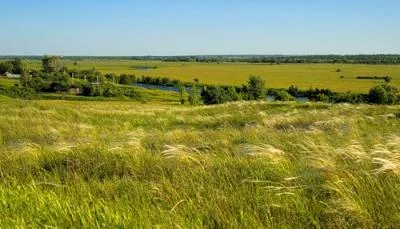 Plains jellemzői és típusai