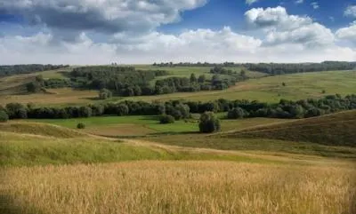 Plains jellemzői és típusai