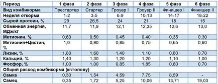 Tenyésztési és emelése fácánok, mint egy üzleti otthon (a tartalom) Tenyésztési és emelése fácánok, mint egy üzleti otthon