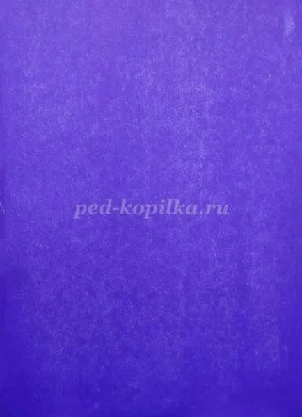 kamilla rajz lépések