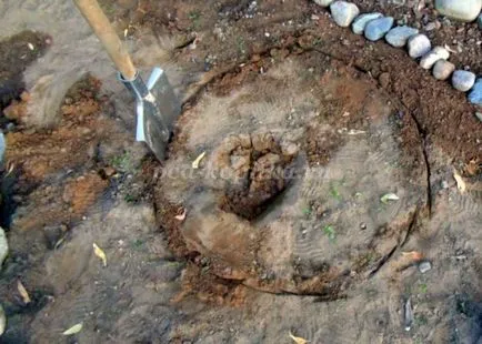 Kertészeti ábra teknős kezüket (felső talaj réteg) Garden alakja egy teknős saját kezűleg