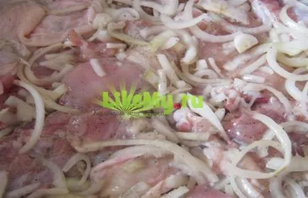 A legfinomabb pác grill csirkehús annyira lágy (hús) A legfinomabb pác grill csirke hús olyan puha