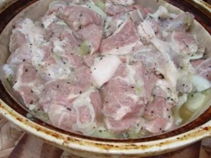 A leginkább ízletes és gyors kebab pác sertéshús receptek, ecet, hagyma, citrom, és nem csak a (pác) A leginkább ízletes és gyors kebab pác sertéshús receptek, ecet, hagyma, citrom, és nem csak