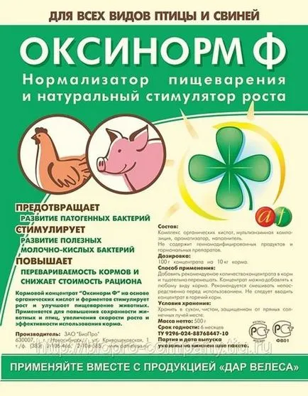 A leghatékonyabb hízósertések otthon hús
