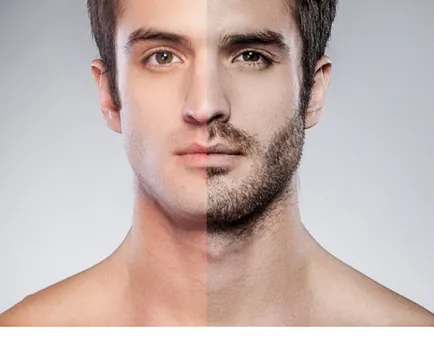Sörték 7 módját, hogyan kell nőni - haircutmen (haircutmen) Sörték 7 módon, hogyan növekszik - haircutmen