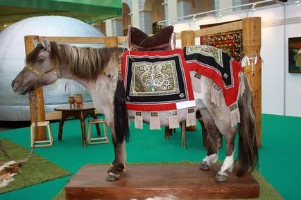 Szimbolizmus - ló, mítoszok, mitikus lények, gyógynövények (szárnyas ló Pegazus) Szimbolizmus - ló, mítoszok, mitikus lények, gyógynövények