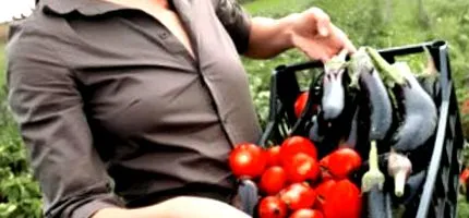 овошје органски
