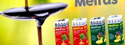 мелтус продуктивна