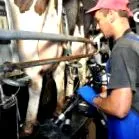 farm
