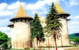napló egyfajta