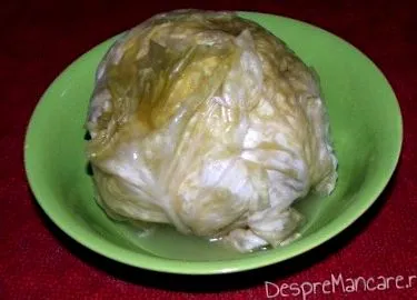 savanyú savanyú