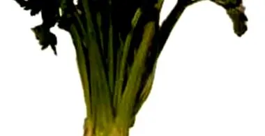 miért