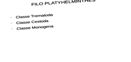 platyhelminthes
