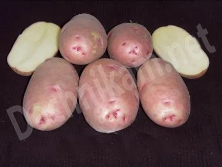 Burgonyafajták alfabetikus sorrendben fotókat és leírást, hétvégi házak