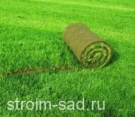 Épület egy kert, termékek kerttervezés - minden kerttervezés