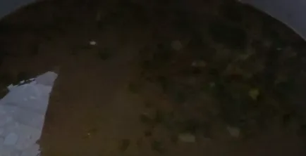 8 húsgombóc leves receptek lépésről lépésre fotók