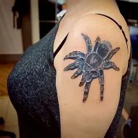 Spider tetoválás - érték