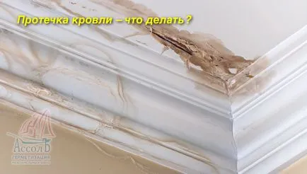 A tető szivárog be az épület nem egy minta alkalmazás (kimutatás szivárgó tetők) A tető szivárog egy apartmanházban, hogy tegyen nyilatkozatot minta