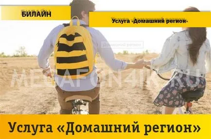 A szolgáltatás az otthoni térség a Beeline - csatlakoztassa, húzza ki, és egy leírást a hazai területen szolgáltatások