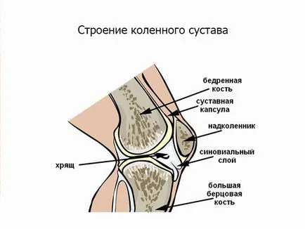 Térdsérülése kezelést otthon fotó és videó (sérült) Térdsérülése kezelést otthon fotó és videó