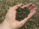 Típusú szerves trágyák, ásványi anyagok, nitrogén, foszfor, stb (műtrágya) Típusú szerves trágyák, ásványi anyagok, nitrogén, foszfor, stb