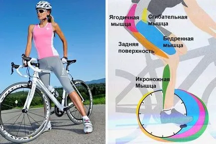 Biciklizés a fogyás ellátások, edzéstervet, ellenjavallatok (kerékpár lovas fogyás, hogy a kalóriák hatékonyan használni edzések segít, ha az eredmények) Biciklizés a fogyás ellátások, edzéstervet, ellenjavallatok