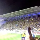 könyv