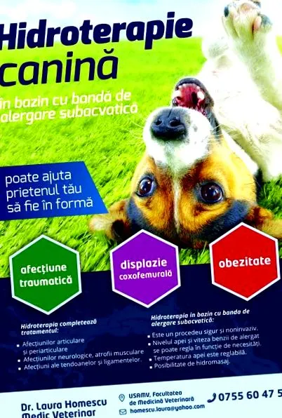 fizioterápia